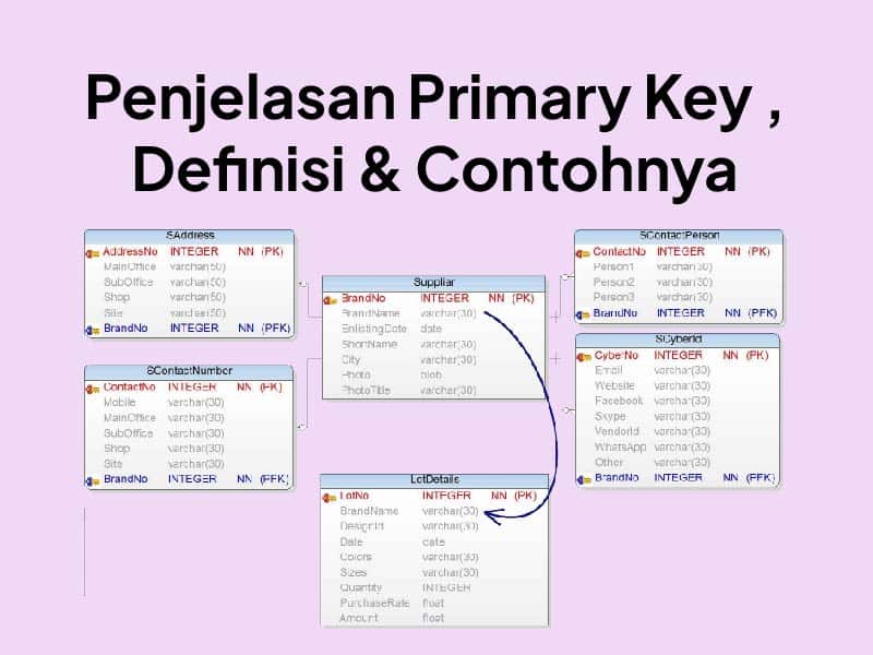 Primary Key adalah : Apa Itu Primary Key ? Definisi, Fungsi & Contohnya