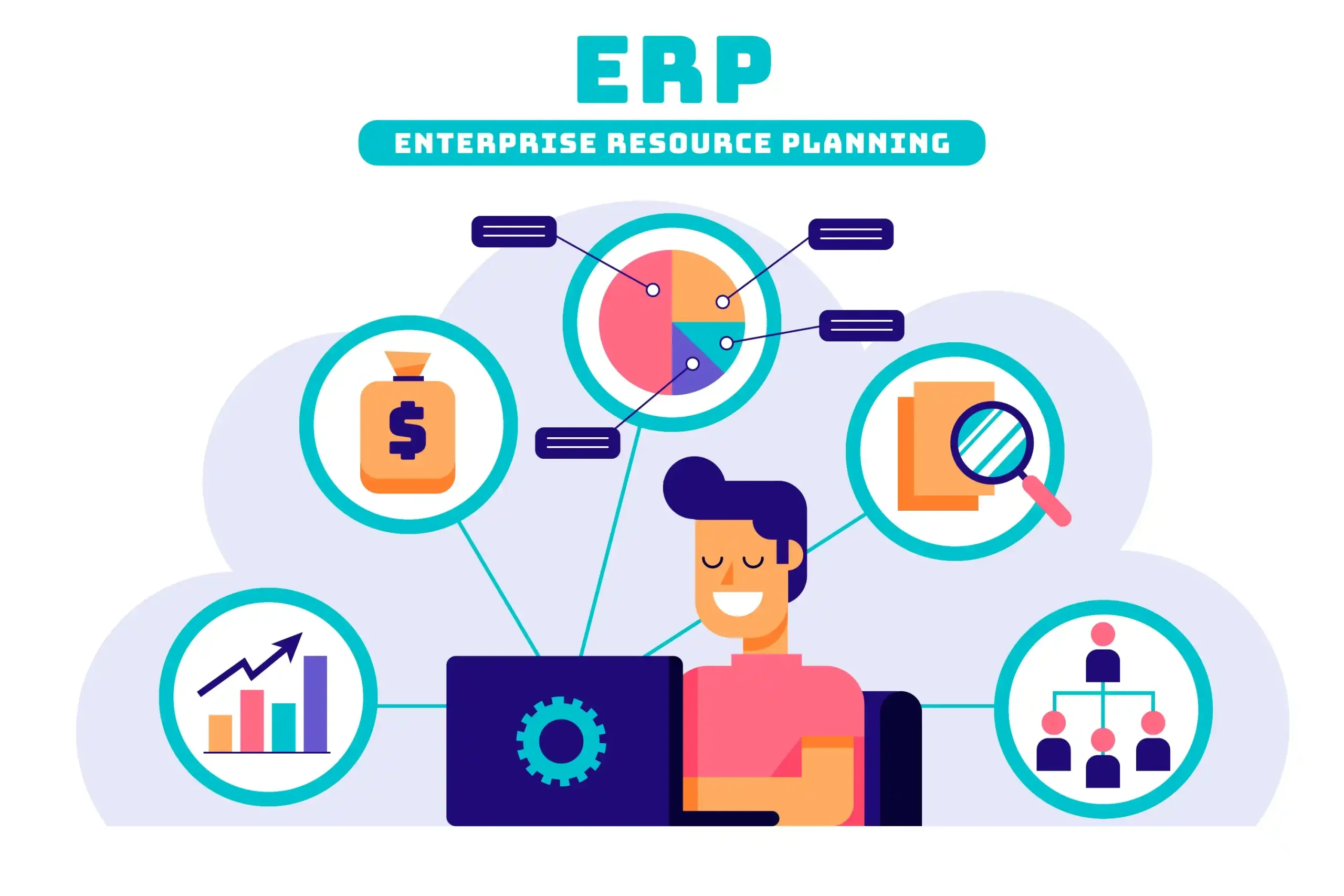 sistem enterprise