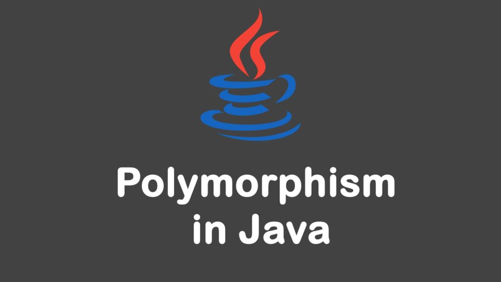 apa itu polymorphism