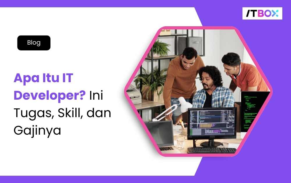 IT developer